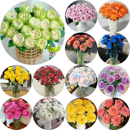 semillas de rosas trepadoras de jardín semillas pradera rosas Decoraciones jardín al aire libre,. Decoraciones otoñales un resistente pradera 450semillas