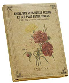 Postkarten-Set mit Literarischen Grußkarten, Segensbotschaftskarten, Vintage-Stil, handbemalt, mit Blumenmotiv, 24 Stück