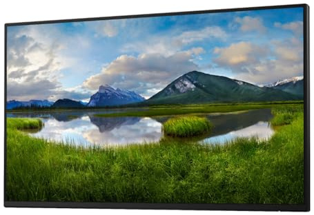 Dell 24 Monitor P2425H 23.8inch (Renewed)