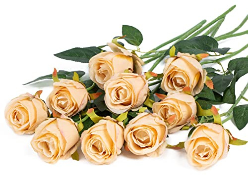 DuHouse 10pcs Artificial Rose Flowers Fake Silk Rose Bouquet(Champagne) | Faux Silk Rose with Single Long Stem, Autumn Flowers for Wedding Home Party Decoration Centerpieces, Easy to DIY