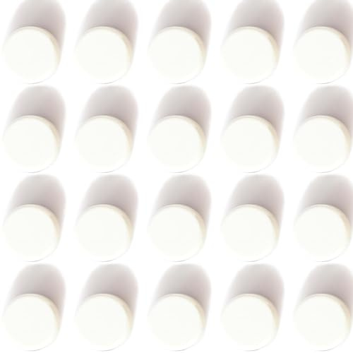 ZDZBLX Magnete für Magnettafel, 20 Stück Mini Magnete Stark, Klein Kühlschrankmagnete, Rund Whiteboard Magnet, Weiß Magneten Starker Halt für Kühlschrank, Pinnwand, Magnetwand, Schule, Tafelmagnete
