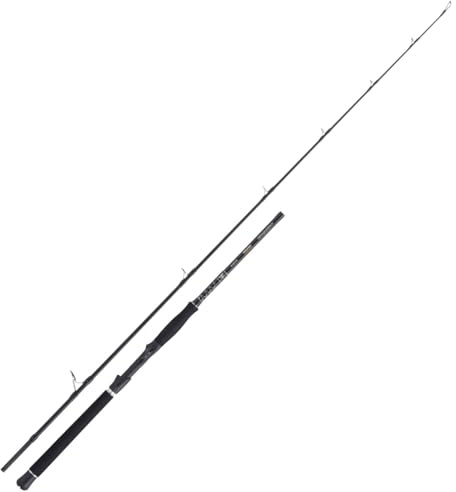Balzer Valhall Xtreme Spin 220 2.20m 50-220g - Meeresrute, Rute zum Meeresangeln, Angelrute