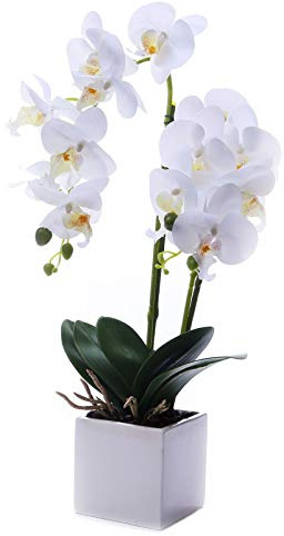 GXLMII LEEMAN Künstliche, lebensechte Blumen, Arrangement, Phalaenopsis, Bonsai-Orchidee, Miniascape, Heimdekoration (Weiß 535)