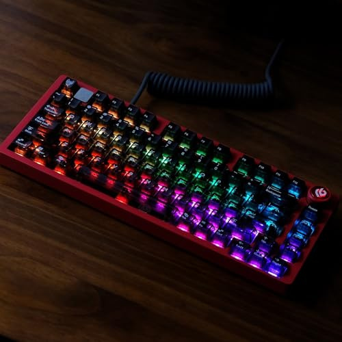 DucKey Transparentes PC Tastenkappen Set, Cherry Profil/Hintergrundbeleuchtung/RGB Keycaps für Mechanische Tastatur(Black)
