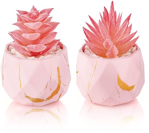 Der Rose Set of 2 Fake Succulent Plants Mini Fake Plants in Shatterproof Gold-Streak Pots, Pink Room Decor for Bathroom Vanity, Office Desk Accessories, Gift for Women | Mini Artificial Plants Pink Accent Bathroom Bedroom Gift for Women No Irrigation or Light Needed