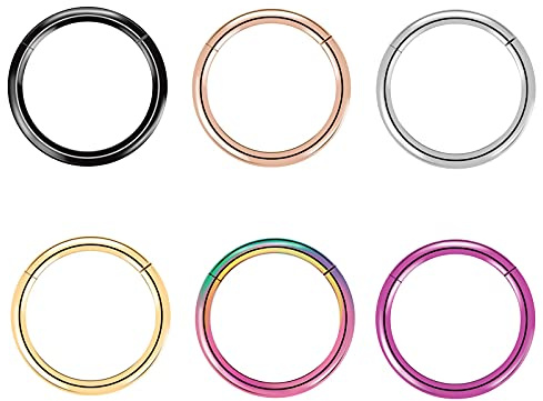 6 Stück G23 Titan Nasenringe Hoop 20G 18G 16G Durchmesser 6mm -10mm Scharnier Segment Ring Lippenring Conch Daith Helix Rook Tragus Ear Body Piercing Schmuck
