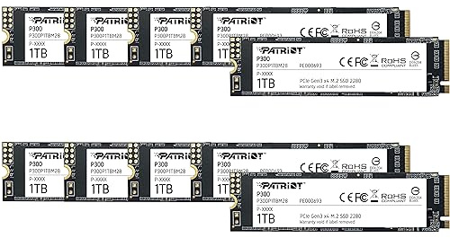 Patriot P300 SSD Interne de 1 to - NVMe PCIe Gen 3x4 - M.2 2280 - Disque SSD - Lot de 10