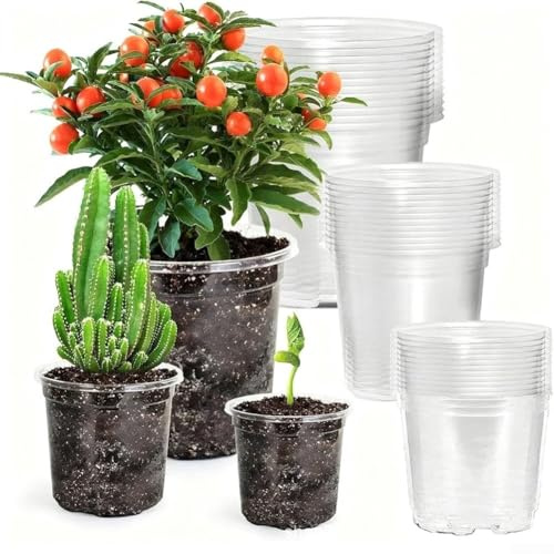 25 macetas transparentes de 3.5/4/5/6/7 pulgadas, macetas transparentes con drenaje y platillo, para orquídeas, suculentas, plantas de interior