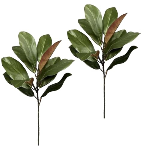 Ramas de imitación – Hojas de magnolia de 22 pulgadas de vegetación | Tallos artificiales Real Touch | Florero con arreglo de flores, decoración para el hogar, oficina, boda, Navidad, , centro d