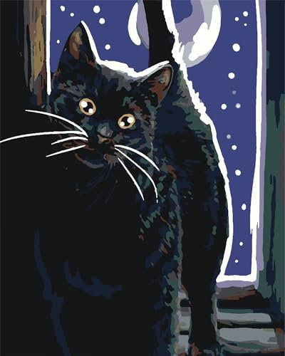 Schwarze Katze Malen nach Zahlen Erwachsene DIY Handgemalt Ölgemälde Malerei auf Leinwand Kinder Anfänger Malsets mit Pinseln Acrylic Paint by Numbers Kits Haus Wand Decor Geschenk 50x65cm,mit Rahmen