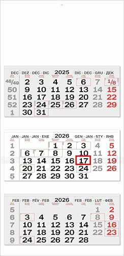 3-Monatskalender 3 Block - L Mehrsprachig - Mehrmonatskalender 2026