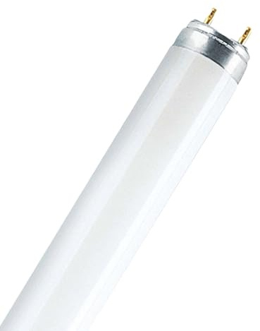 NCC-Licht Leuchtstofflampe T8 Röhre 120cm 36W/840 G13 Neutralweiß 4000K | Leuchtstoffröhre T8 aus Glas, sachliches Licht für Wohn- und Arbeitsbereiche