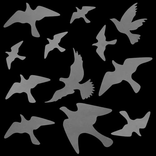 Dplolng 12 Pcs Anti-Collision Window Bird Stickers Decals Anti-Collision Window Stickers for Birds,Glass Door Protect and Prevent Bird Strikes (Clear)
