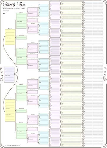 My History Stammbaumtafel, kompakt, 8 Generation, 120 g Papier (farbig, gefaltet)