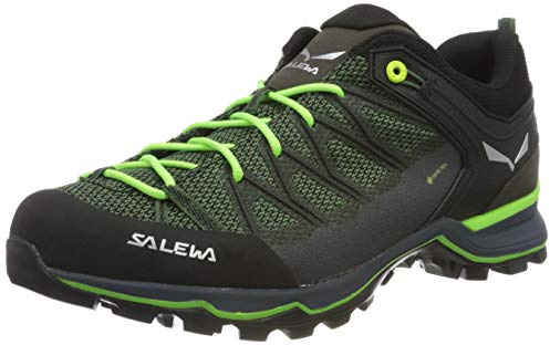 Salewa MS Mountain Trainer Lite Gore-TEX trekking- och vandringsskor, Myrtle/Ombre Blue, 43 EU