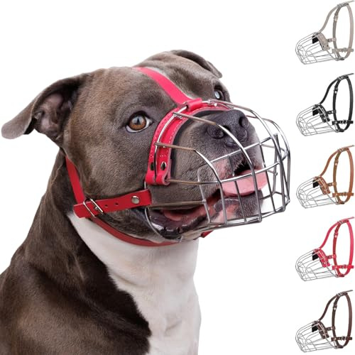 BronzeDog Muselière pour Chien en métal Amstaff Panier en Fil de Fer Sangles réglables en Cuir pour Grands Chiens