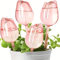 Lot de 4 boules d'irrigation pour plantes en pot - Auto-arrosage - En PVC - 24 x 6,5 cm