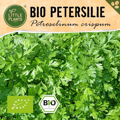 Little Plants BIO Petersilie Samen, 800 Petersiliesamen, hohe Keimrate, 100% Natürlich, BIO Samen Petersilie für Kräutergarten Küchenkräuter Hochbeet – BIO Kräutersamen Nachhaltig