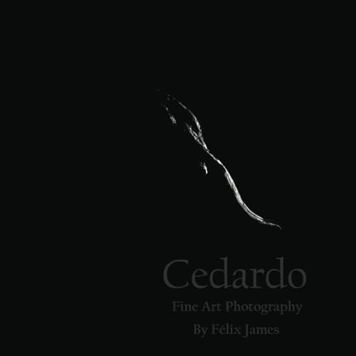 Cedardo Fine Art Photography By Félix James