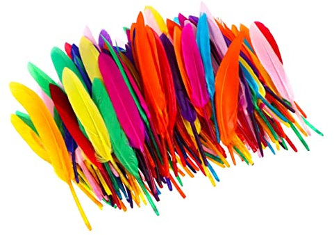 DOITOOL 200stücke Naturfedern Bunt Für Basteln DIY Federn Natur Als Dekoratives Accessoire Bastelfedern Für Heimwerker Hochzeit Party Zuhause