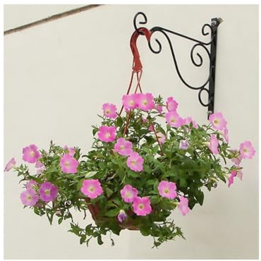 DECHOUS Flower Basket Hook Metal Wall-Mounted Plant Brackets 20.5Cm Black Hanging Bracket for Indoor Garden Hanging Bird Feeder and Lanterns