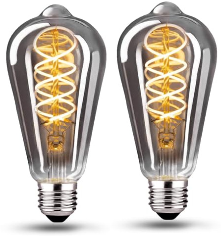KANQIAO Glühbirne E27 LED Vintage 6W Dimmbar Warmweiß ST64-2 Stück | Edison Vintage Glühbirne E27 Warmweiß Dekorative Rauchgrau glas für Nostalgie und Retro Beleuchtung im Haus Café Bar