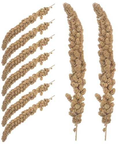 VICASKY Hirse Leckerli für Papageien und Wellensittiche Getrocknete Hirse mit Schale 500g – Natürlicher Vogelsnack von Aktivität und Gesunder Ernährung