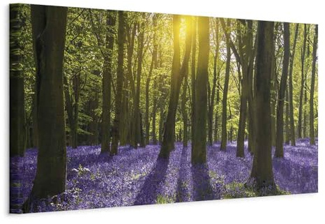 murando - Akustikbild Wald Bilder Akustikschaum Hochleistungsschallabsorber Schallschutz Leinwand 1 tlg Wandbild Raumakustik Schalldämmung Waldlandschaft Baum Blumen c-B-0369-b-a
