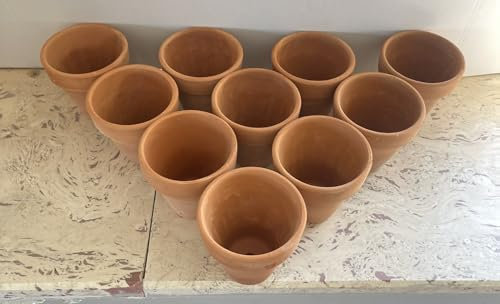 Generico Set di 10 Vasi in Terracotta, Altezza 10 cm, per Piante Aromatiche