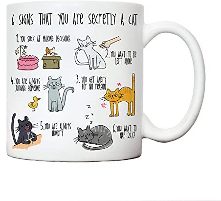 cat Mug for Crazy Cat Lady | Gifts for Animal Lovers: Christmas & Birthday Presents
