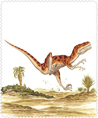 Rannenberg & Friends Dinosaurier aus der Kreidezeit Microfaser Brillenputztuch