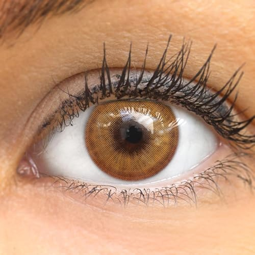 GLAMLENS lentilles de couleur marroni naturelles colorées très haute opacité (Lugo Brown) + étuis à lentilles de contact 1 paire (2 pièces) 90 Jours sans correction 0,00 Dioptries