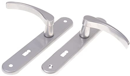 Aqbau® Juego de manillas para puerta con placa larga plateada, picaporte de puerta, manillas de puerta, herrajes de puerta (BB Buntbart)