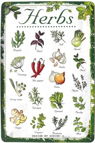 DODINO 20 x 30 cm Tin Signs Kitchen Decorative Garden Herbs Wall Metal Sign