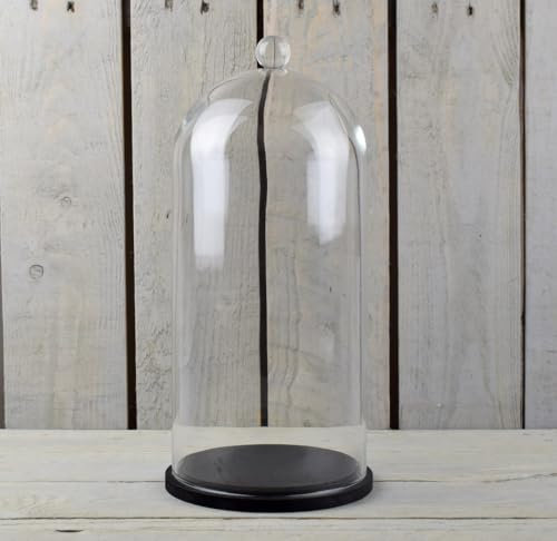 EMH Campana circolare fatta a mano in vetro trasparente con pomello e base in legno nero, 33,5 x 15 cm