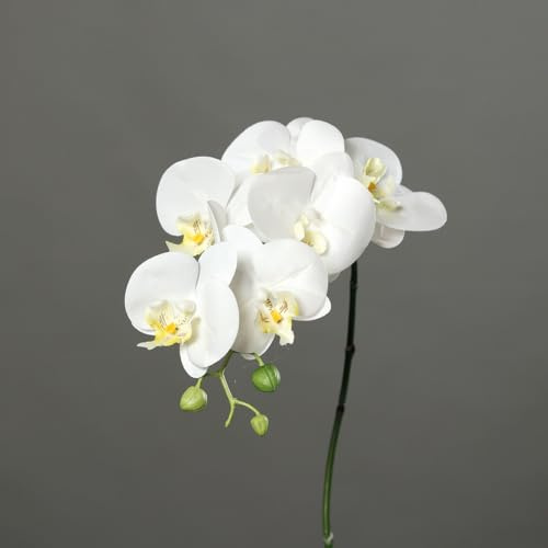 Seidenblumen Roß Orchideenzweig Real Touch 80cm DP Kunstblumen künstliche Orchidee Orchideen Blumen (Weiß)