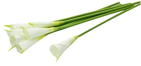 Angel Isabella Real Touch Calla Lily - Lifelike Artificial Flowers, Realistic Fake Flower, Perfect for Home & Wedding Decoration, Centerpieces, Bouquets, Wreath Arrangements - Pack of 6 (Cream Ivory)