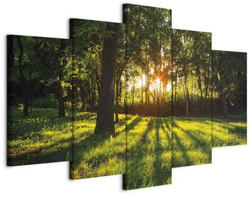 B&D XXL - Akustikbild Akustikschaumstoff, 225x112 cm, 5-teilig, Wohnzimmer | Verbessert Raumakustik, reduziert Hall, ideal fürs Büro oder Wohnzimmer, hochwertige Verarbeitung, schnelle Montage, stilvoll