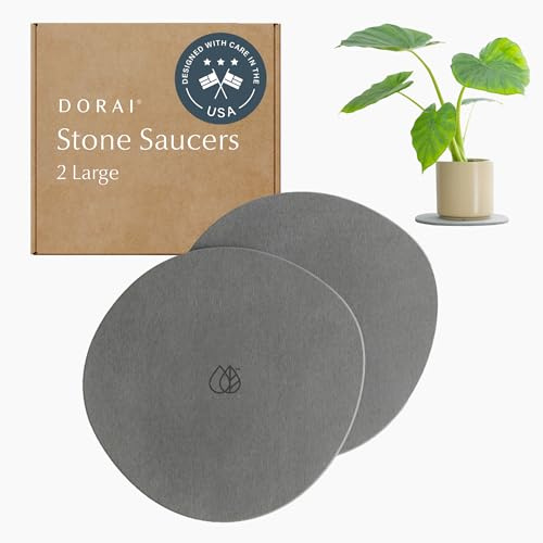 Dorai Sottovaso per Piante, Grande, 2 Pezzi