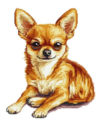 AMBATTERY Knüpfteppich Set Chihuahua Hund Tier Knüpfen Set Teppich Knüpfset 31x63in für Erwachsene, ältere Kinder, nicht zusammenklappbar