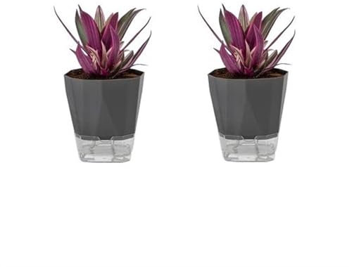 CJHFR472SG Jardinera Macetas sin riego Macetas autoabsorbentes Macetas suculentas de orquídeas de balcón de plástico Interior-Exterior(Gray Two,Grande)