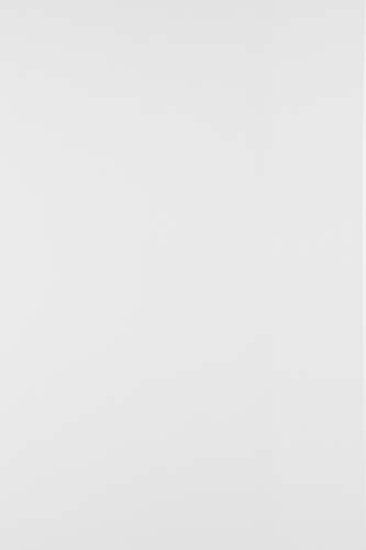 Netuno 100 Blatt Bastelpapier Weiß DIN A4 21 x 29,7 cm 170g Lessebo Smooth White glattes Druckerpapier edel für Einladungskarten Hochzeit Taufe Kopierpapier Geschäftspapier Laserpapier