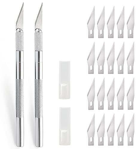 EHDIS 2 pezzi Cutter Precisione con 20 lame, coltello artigianale, coltello hobby, coltello da intaglio, taglierino per lavoro artistico fai da te taglio, scultura, pellicola per vetri, Argento