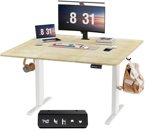 Raplink Escritorio Elevable Eléctrico, Mesa de Trabajo Ajustable en Altura, Mesa de Oficina en Casa con Tablero Ensamblado, 100 x 60 cm, para Trabajo, Redacción, Juegos, Blanco