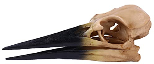 Stärkung der Beckenmuskulatur, für Damen, Training, Beckenbodentraining, Ballons, Kegelkugeln, Trainer-Set, Kegel Ball Fußboden, Beckenbodentrainer