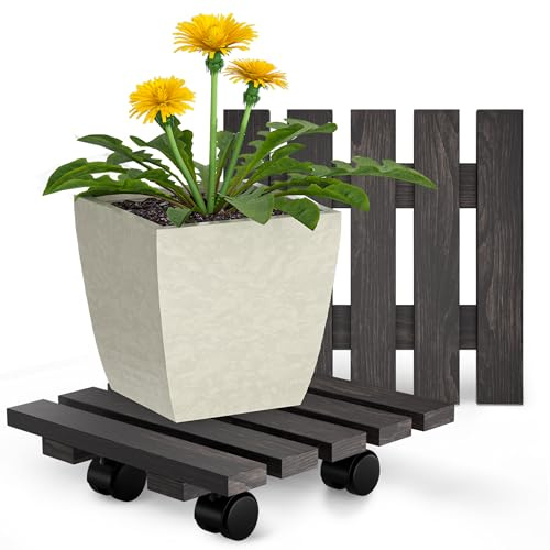 Oramics 2 Stück Pflanzenroller Eckig aus Massivholz in Schwarz – 30 x 30 x 8 cm bis 120 KG belastbar – Rollbrett für Pflanzen, Blumentöpfe und Blumenkübel – Blumentopf Untersetzer mit 4 Rollen