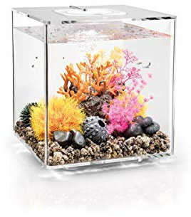 BiOrb Cube 30 MCR transparent