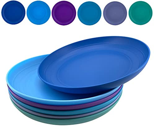 AOYITE 8 inch Plastic Plates Reusable, Unbreakable Plastic Dinner Plates set of 6, BPA Free Dishwasher Safe & Microwave Kids Plate for Kitchen Lunch Party Outdoor