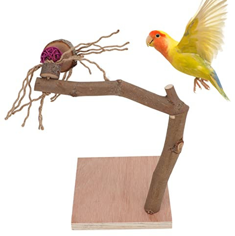 Vogel Natur Freisitz Sitzstangen mit Basis, Schreibtisch Holz Wellensittich Spielplatz, Vogelkäfig Papageien Barsch Klettern Stehend Spielzeug Stangen für Nymphensittich Sittich