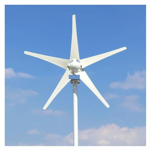 Kit de turbina aerogeneradora de 5000W 3000W, turbina aerogeneradora Horizontal potente molino de viento de uso doméstico de 12V 24V 48V Baja velocidad inicial para el hogar(5blades,48V_5000W)